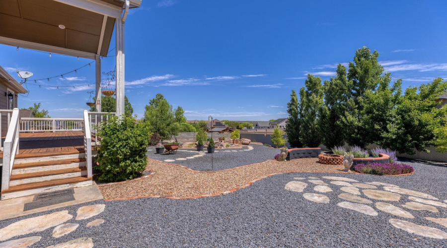 Back yard
