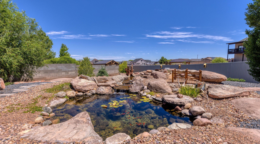 Koi pond