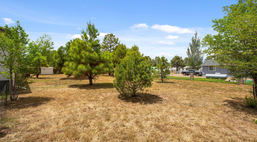 2136ShellCanyonRd-Heber-AZ-21