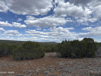 33 Co Road, Vernon, Arizona 85940, ,Land,For Sale,Co,261546