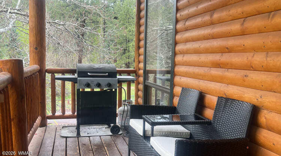 CABIN 81 BACK DECK 2